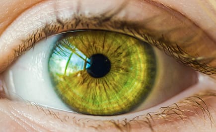 Close up of green eye